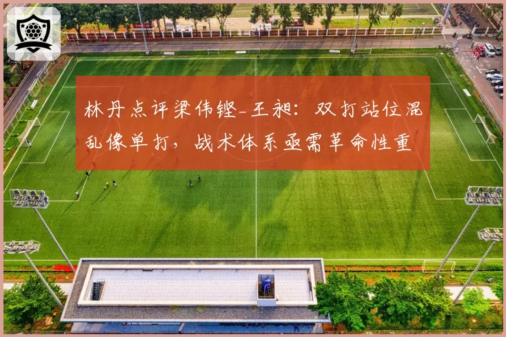 林丹点评梁伟铿_王昶：双打站位混乱像单打，战术体系亟需革命性重塑