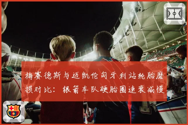 梅赛德斯与迈凯伦匈牙利站轮胎磨损对比：银箭车队硬胎圈速衰减慢0.3秒
