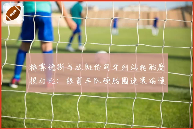 梅赛德斯与迈凯伦匈牙利站轮胎磨损对比：银箭车队硬胎圈速衰减慢0.3秒
