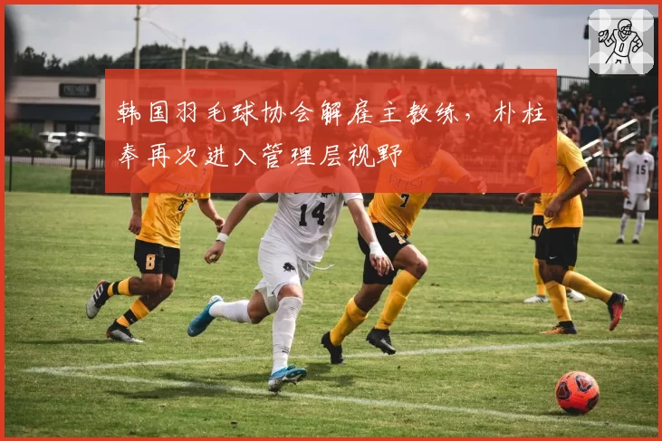 韩国羽毛球协会解雇主教练，朴柱奉再次进入管理层视野