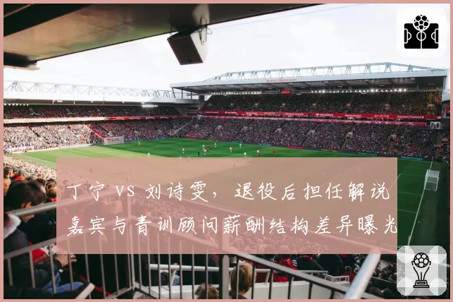 丁宁 vs 刘诗雯，退役后担任解说嘉宾与青训顾问薪酬结构差异曝光