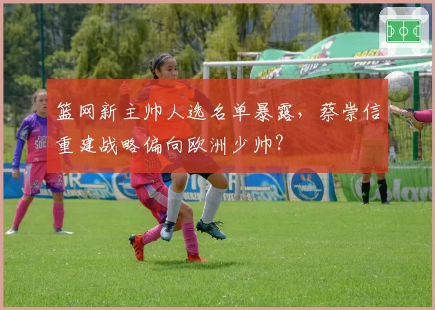 篮网新主帅人选名单暴露，蔡崇信重建战略偏向欧洲少帅？