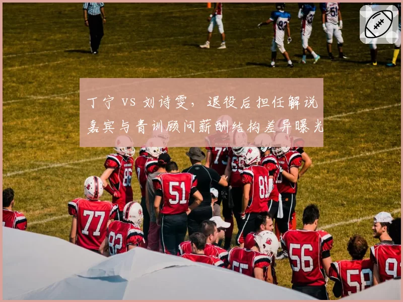 丁宁 vs 刘诗雯，退役后担任解说嘉宾与青训顾问薪酬结构差异曝光